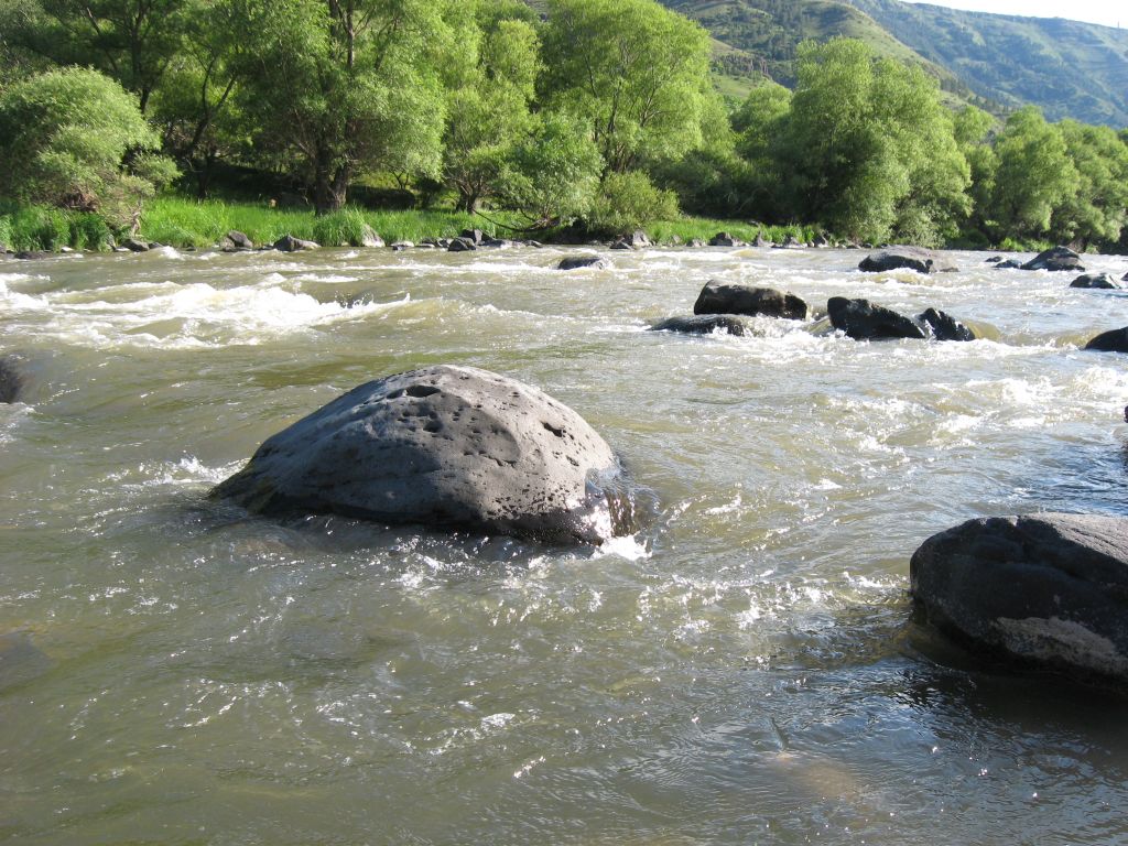 74 IMG 8956