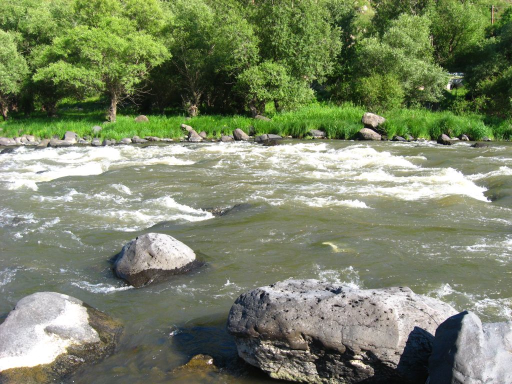 77 IMG 8951