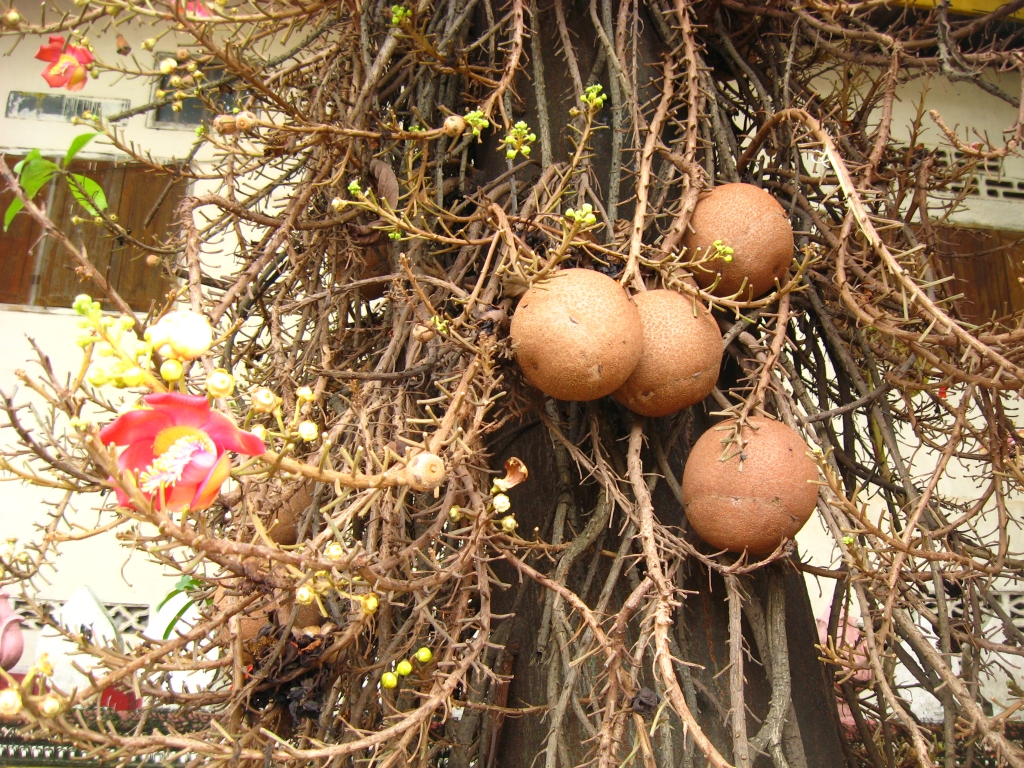 83 IMG 8684