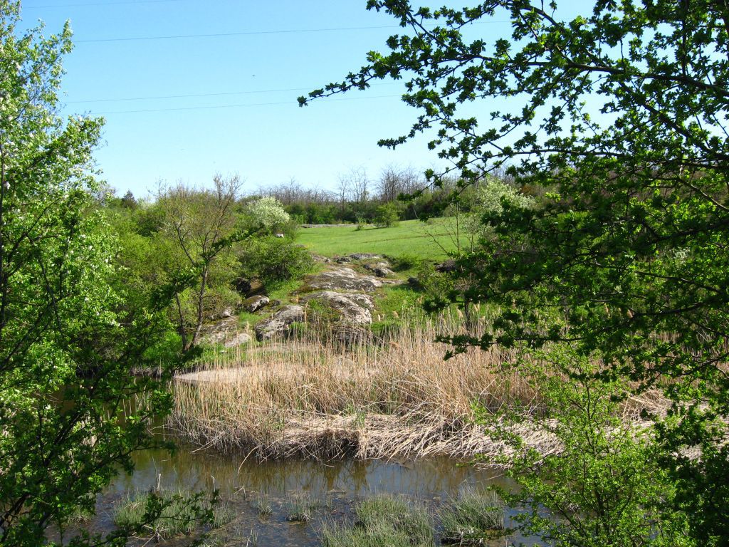 Река Арбузинка