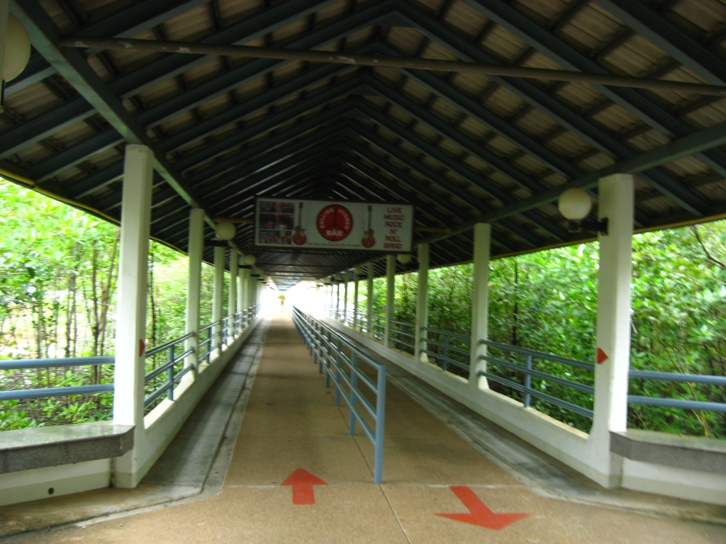 86 IMG 1237