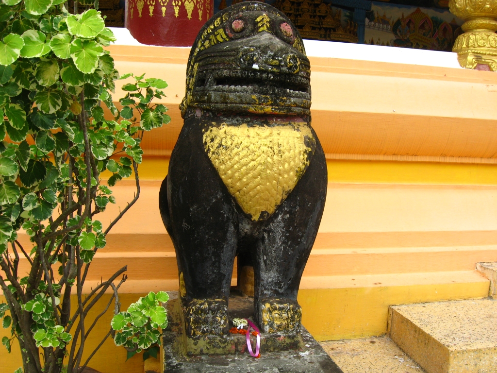 8 IMG 8593