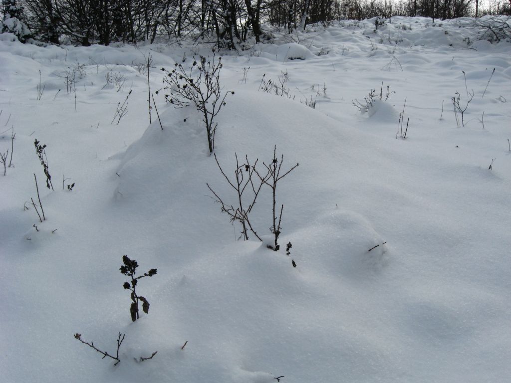 Снежные кочки