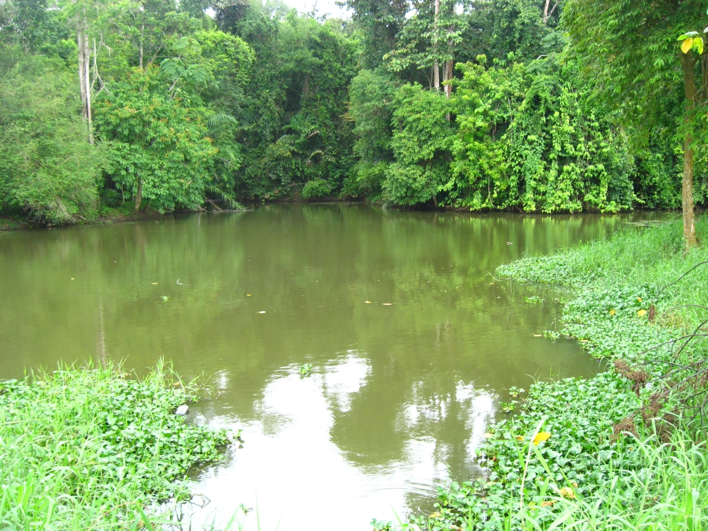94 IMG 1163
