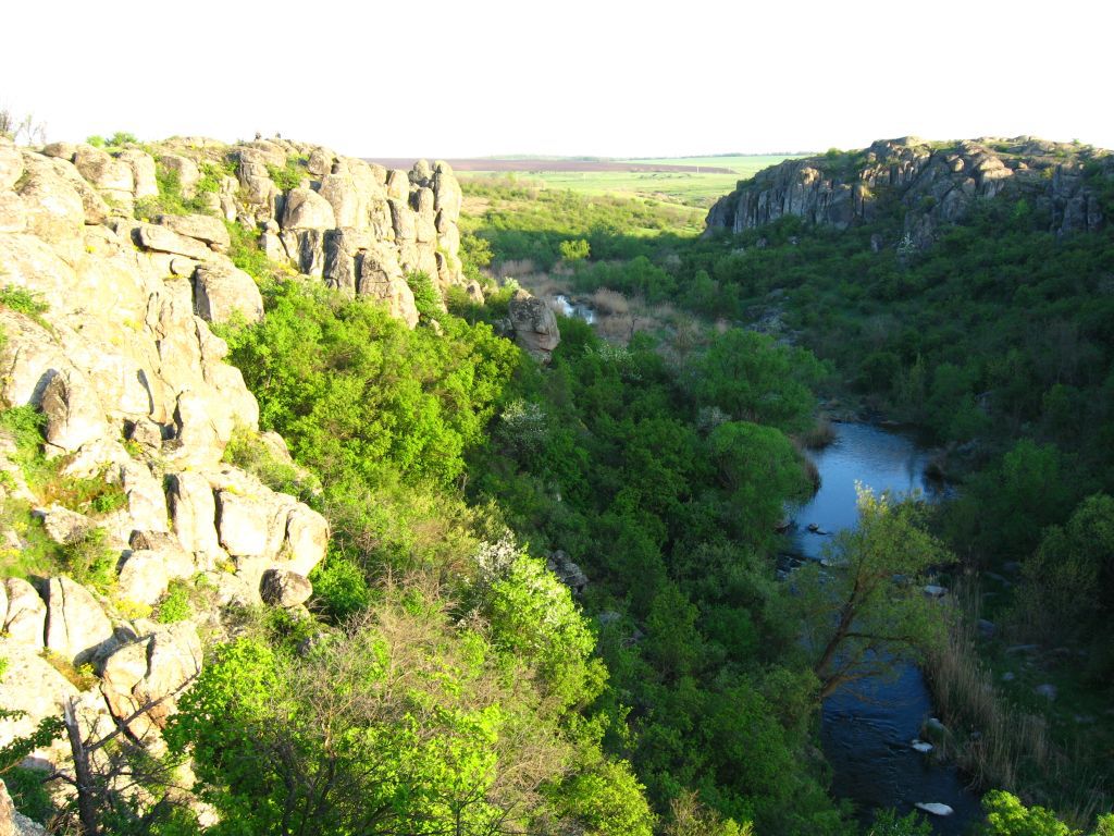 Яркая зелень