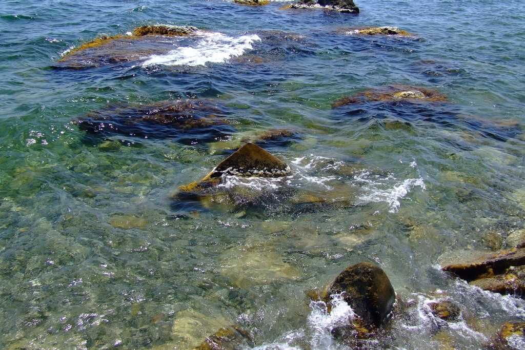 DSCF1325
