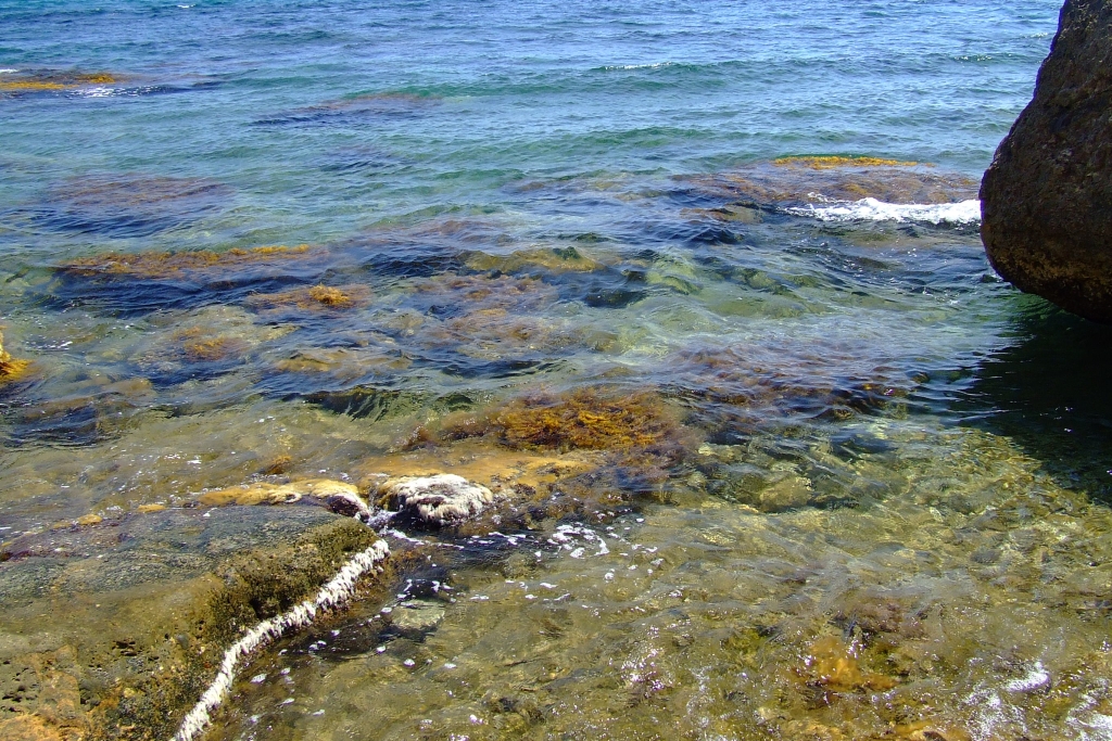 Снова бахрома цветных водорослей