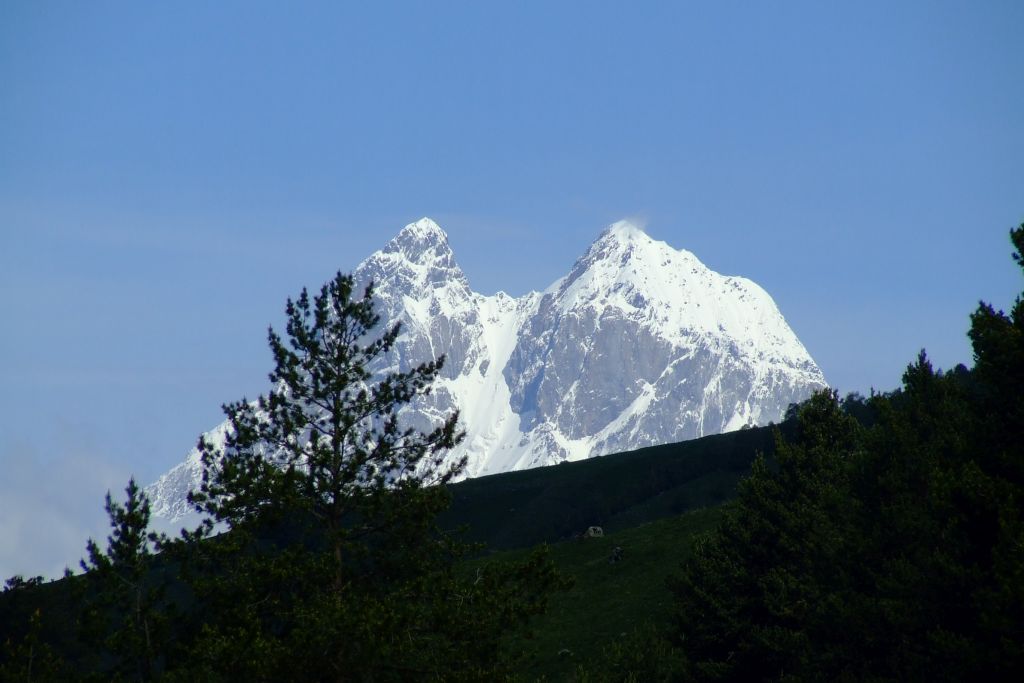 DSCF2696