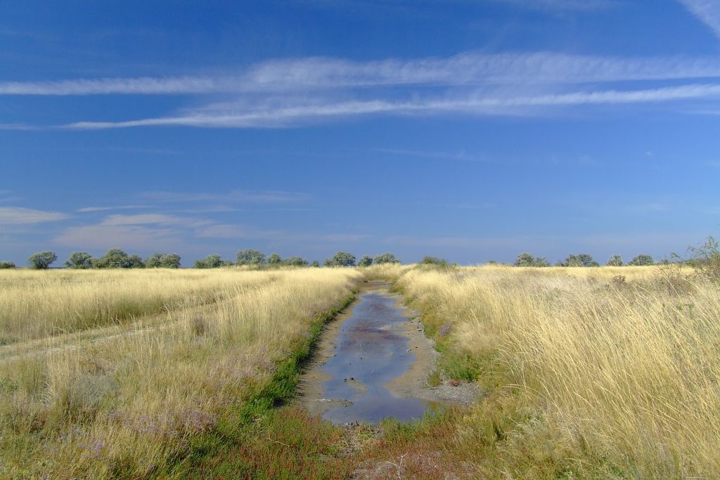 Кинбурнская коса