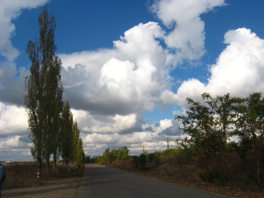 IAGTP 015