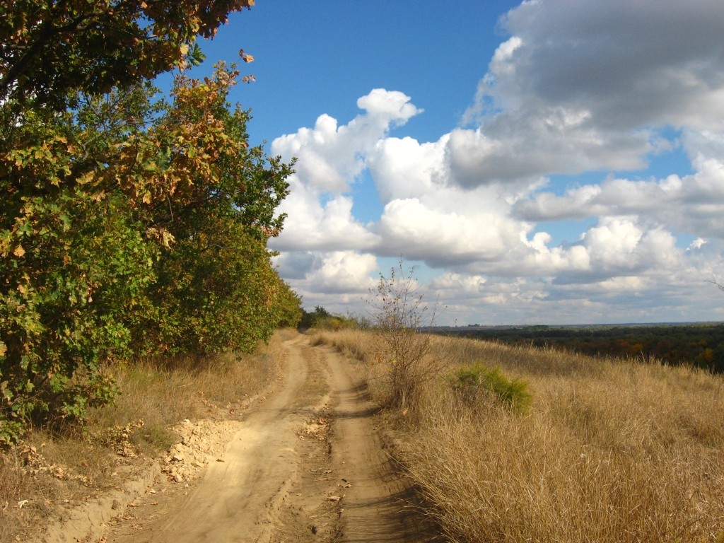 Дивная осень