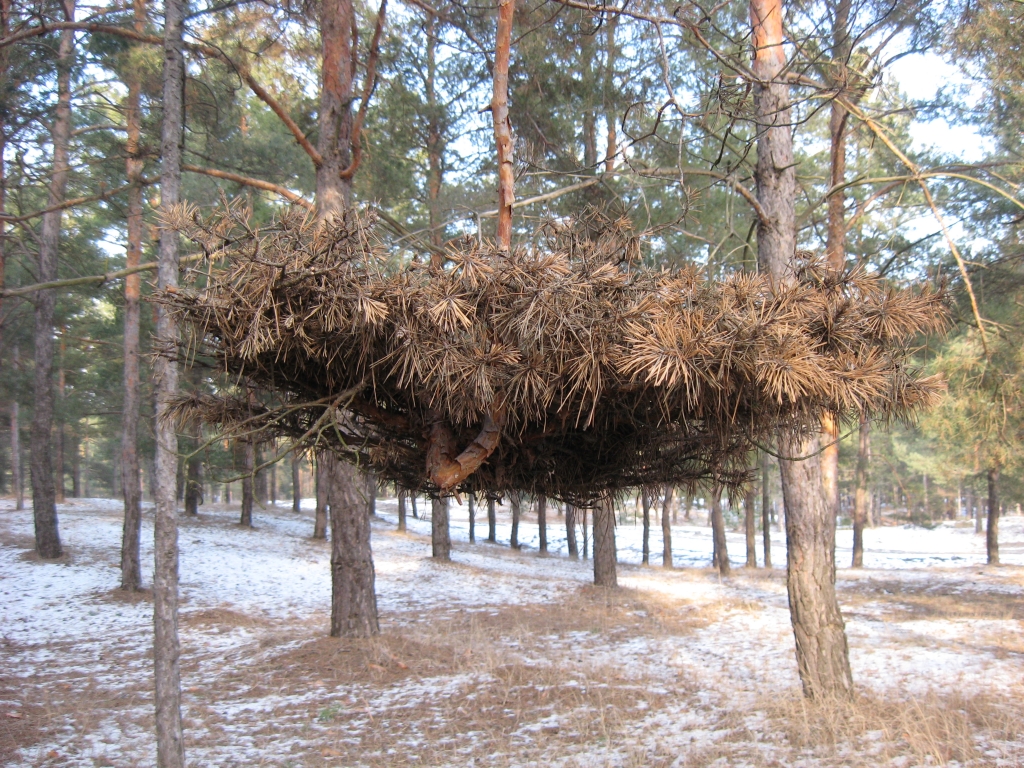 Сосновая люстра