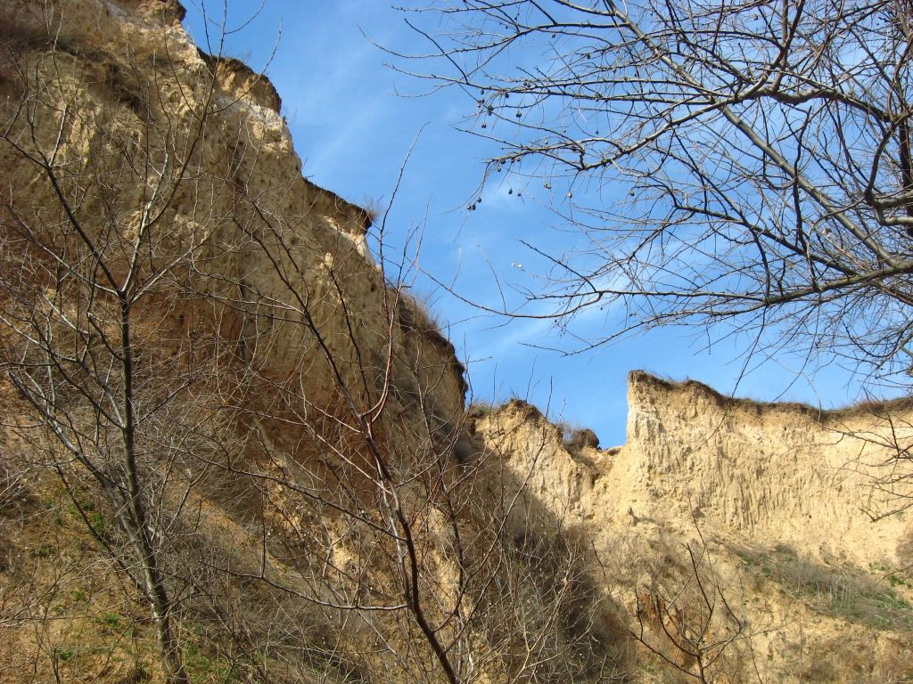 Внутри оврага почти нет ветра