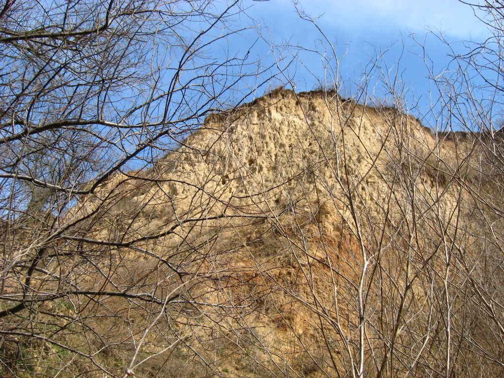 Крутая стена оврага
