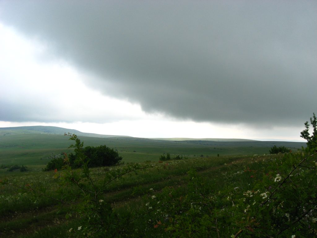 Эта туча прольется дождем
