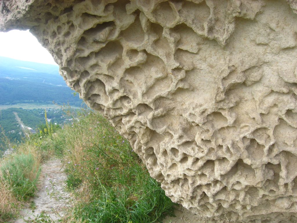 IAGT 134