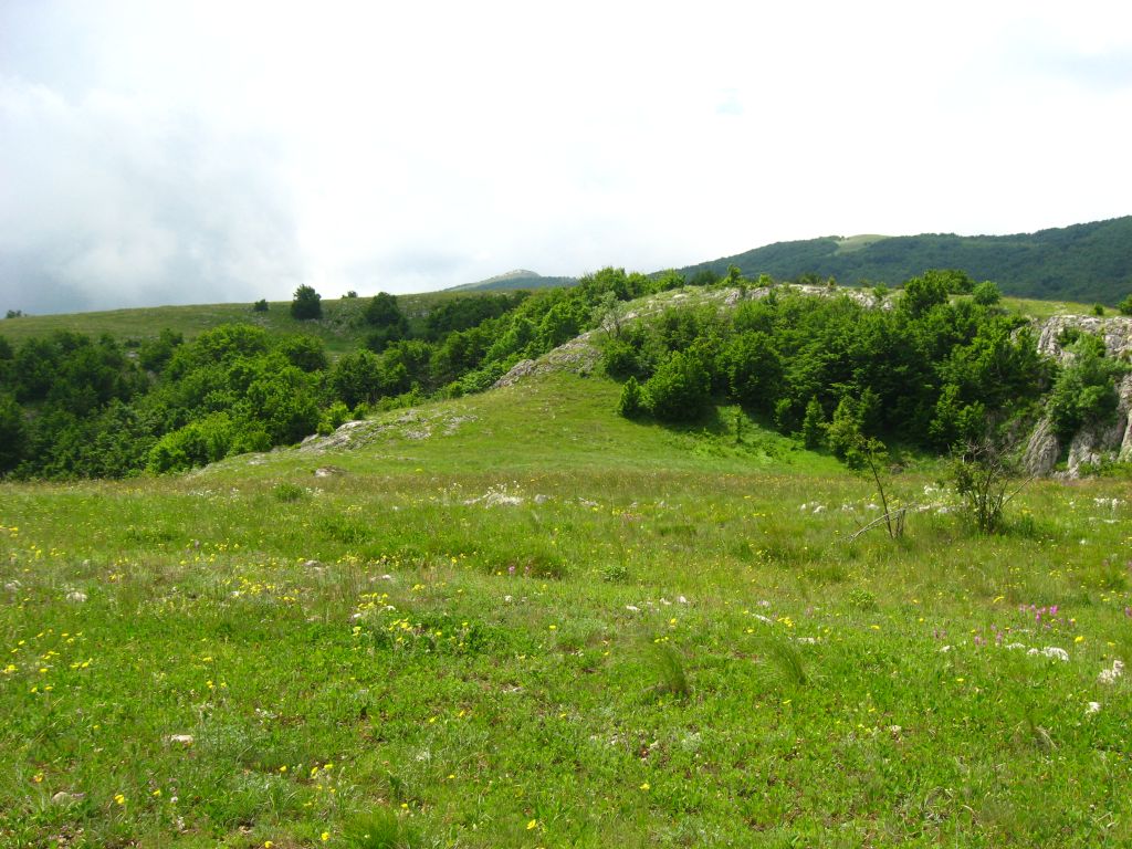 IAGT 243