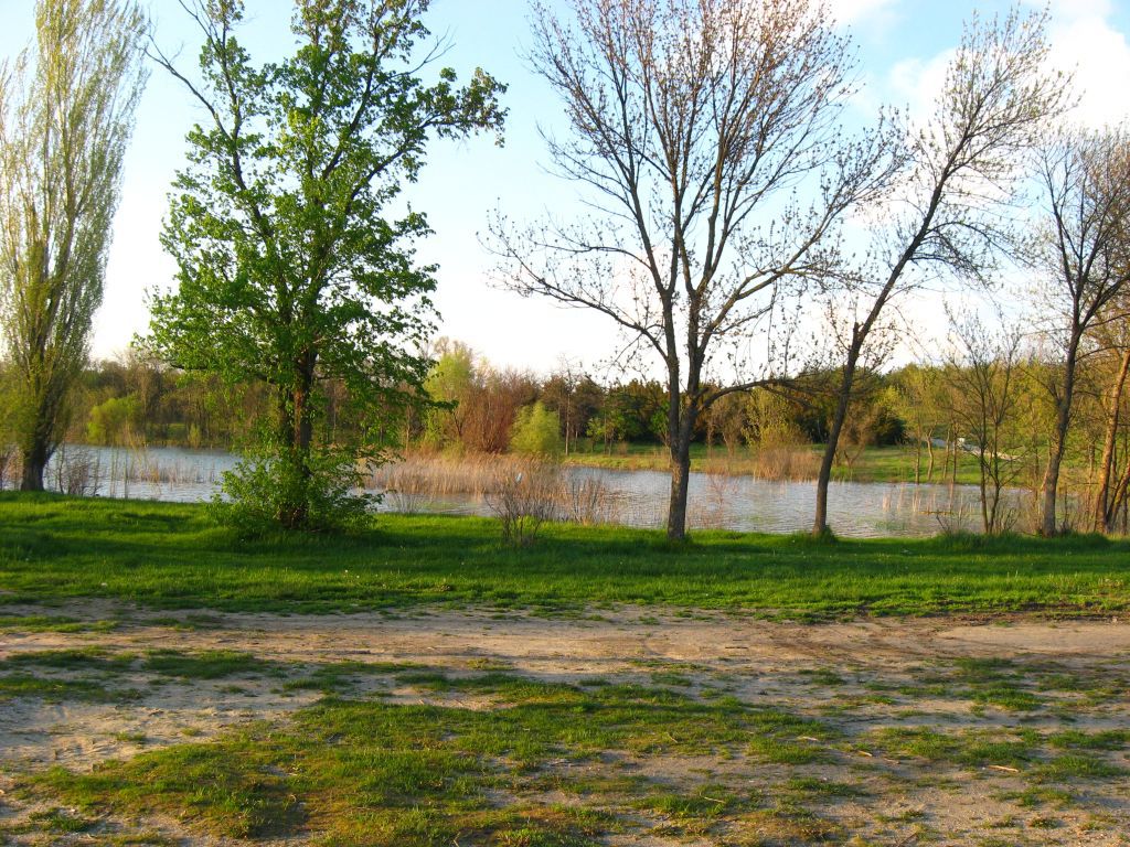 IAGT 261