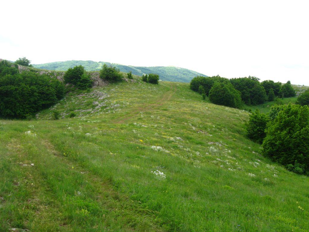 Прекрасное плато