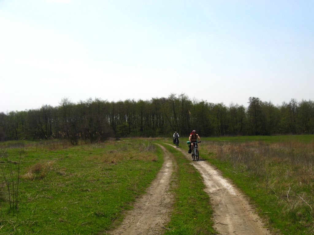 IAGT 338