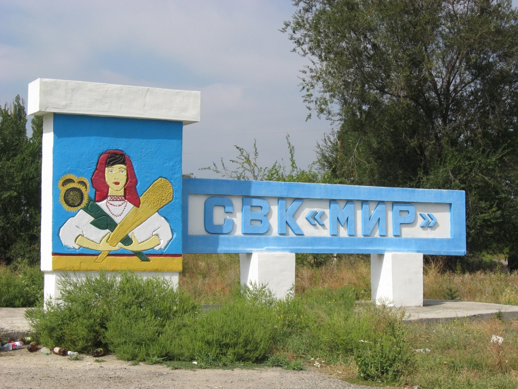 Девушка с подсолнухами и дубиной