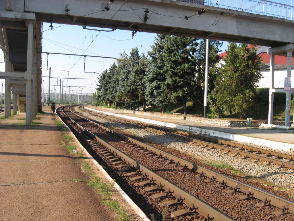 Красивые здесь ели