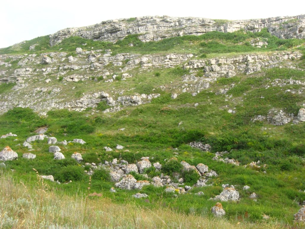 Джангуль