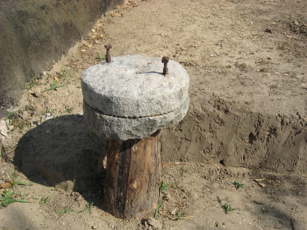 IMG 1371