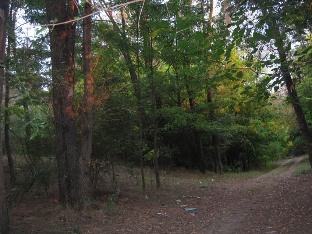Ночевали возле Северо-Крымского канала