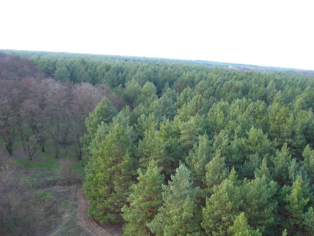 Посмотрим в одну сторону