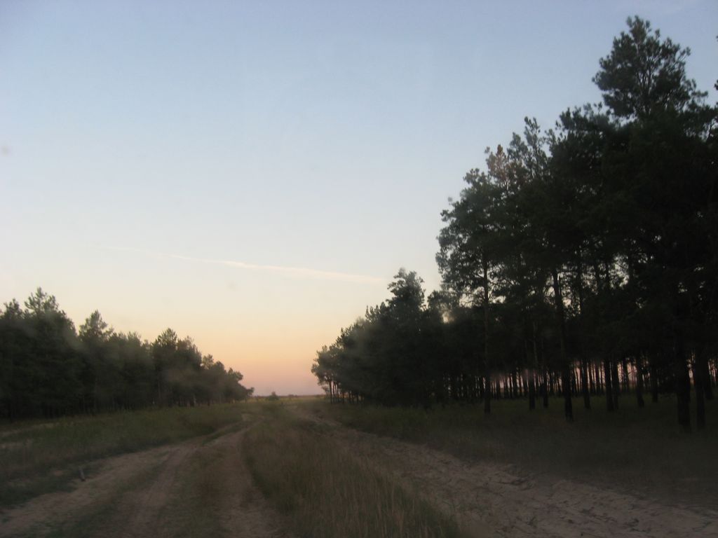 Раннее утро