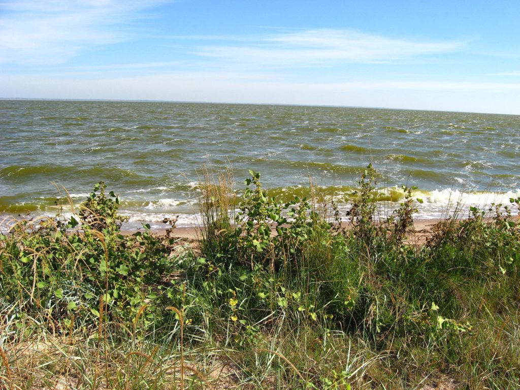 Цвет лиманской воды
