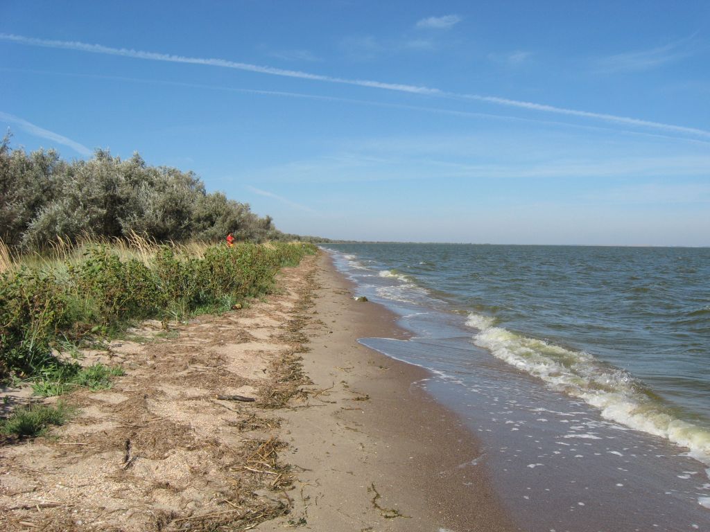Берег лимана