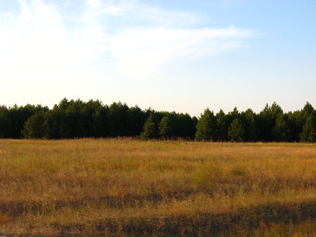 Осень на Кинбурне