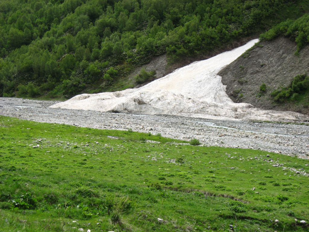 IMG 7443