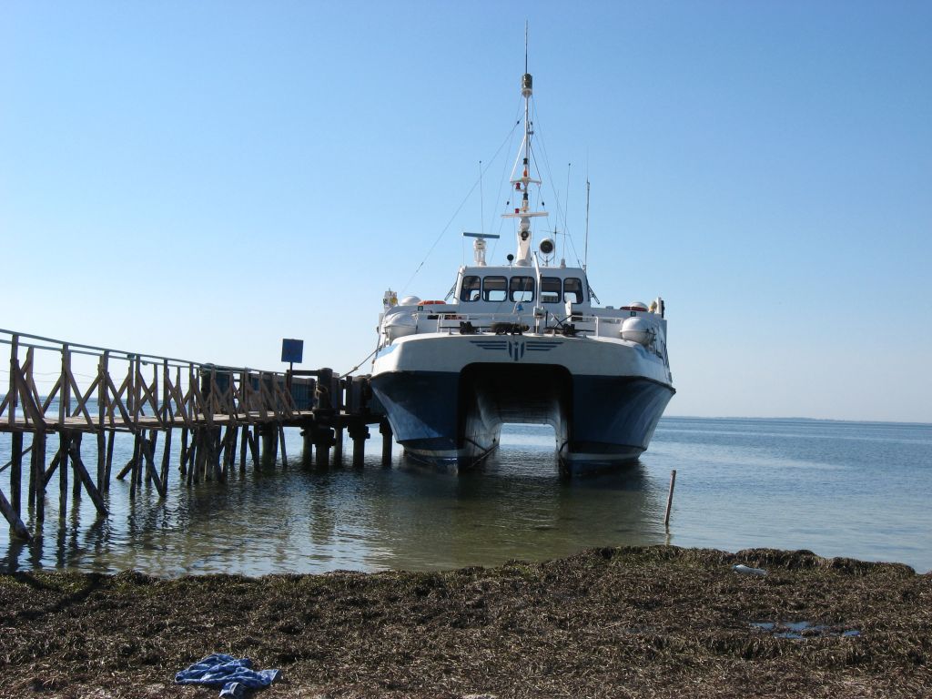 Катамаран
