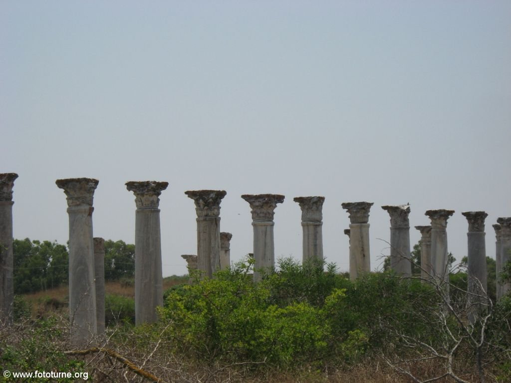 Кипр. Саламис.