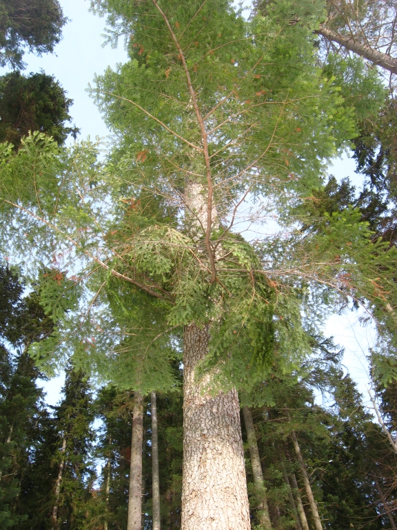 img 067