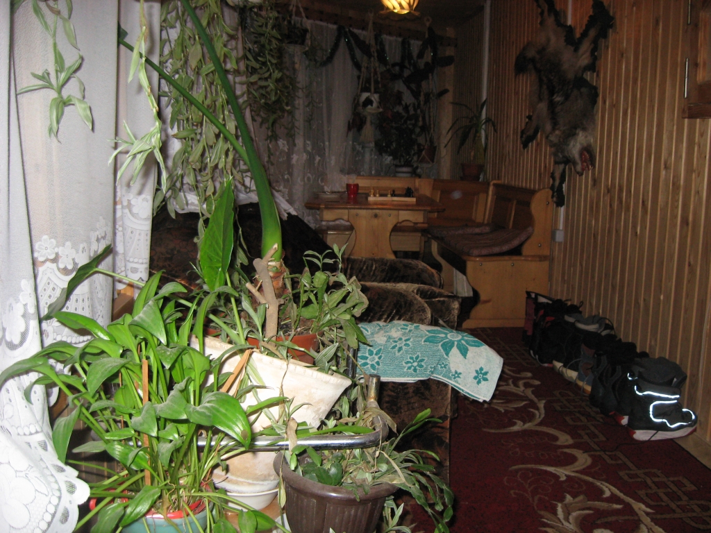 img 429