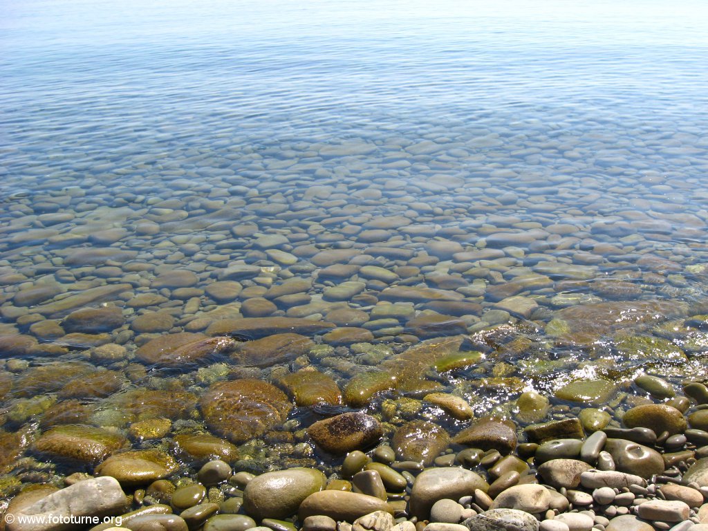 Невероятная чистота воды в месте неизвестном