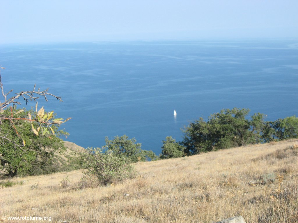 Белеет парус