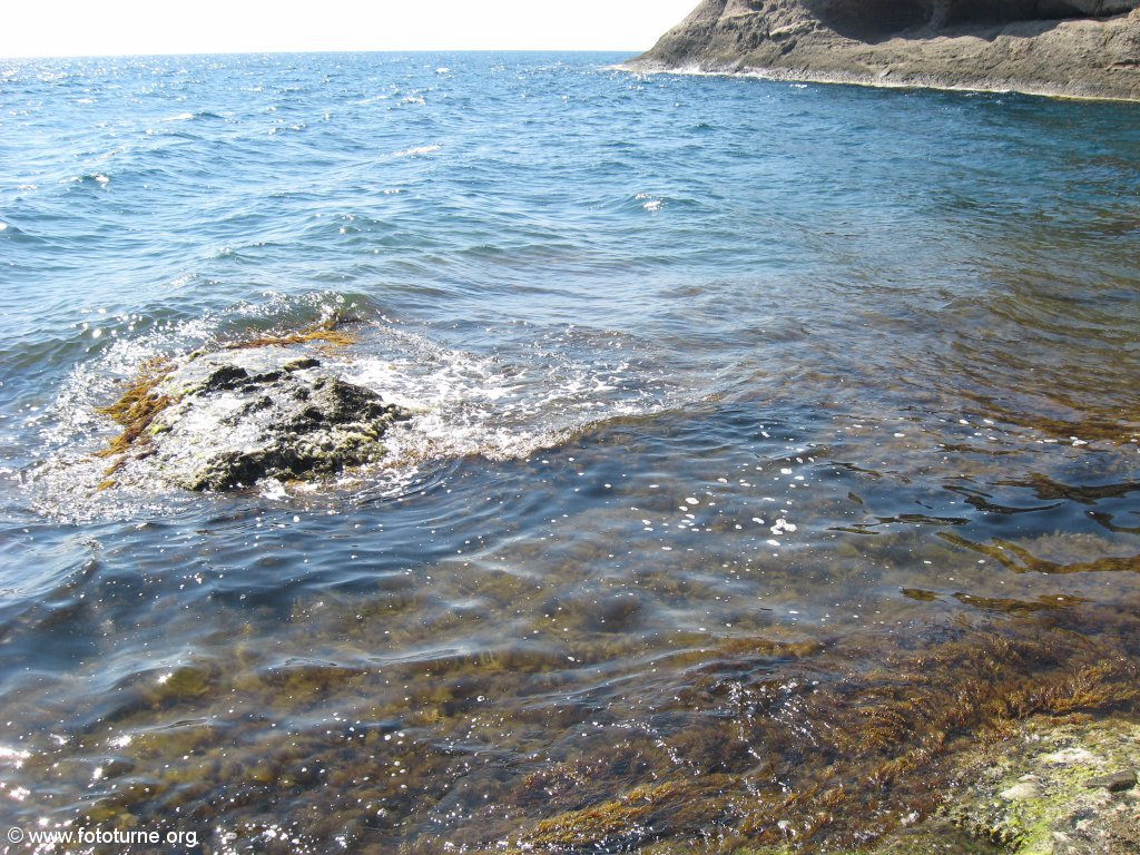 Море синее