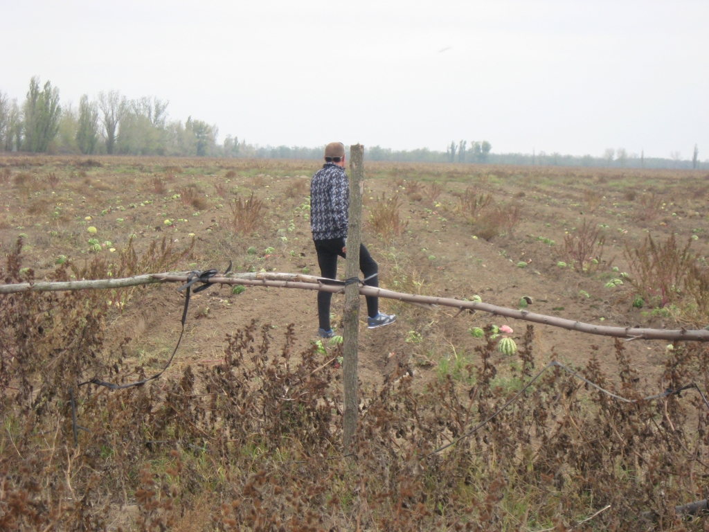imgmh 048