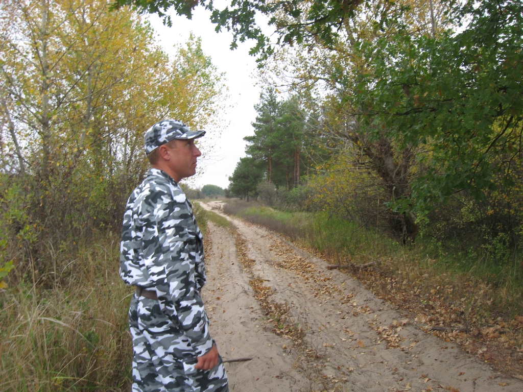 Осенняя дорога